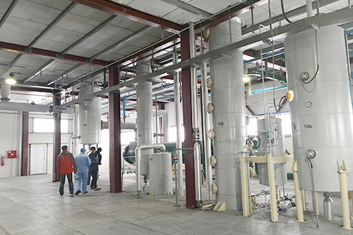 年關將至，鄭州企鵝喜迎埃塞俄比亞客戶！